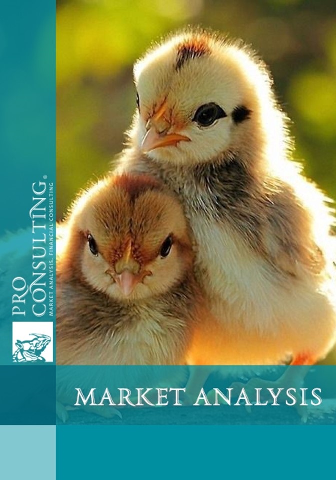 Market research report on poultry farming and poultry medication in Ukraine. 2017